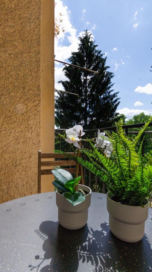 Lk43-Lodging City-Apartments, Kontaktlos Mit Self Check-In 格拉茨 外观 照片